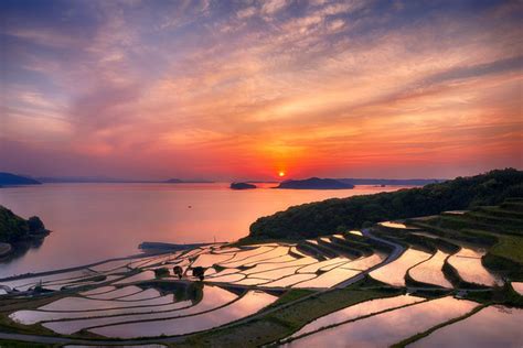 Picture Of The Day Rice Terrace Sunset Twistedsifter