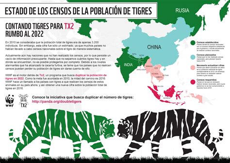 Día Mundial del Tigre 2014 Población global del tigre salvaje