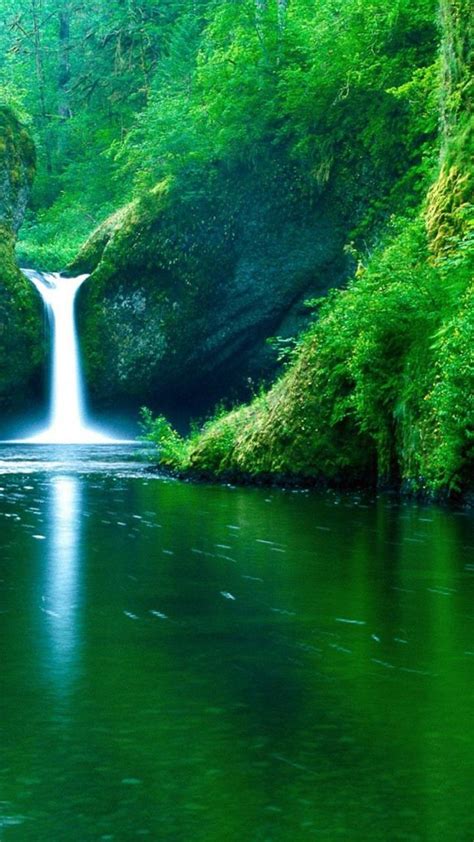 Magic Waterfall In The Green Nature