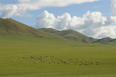 Mongolia 1080p 2k 4k 5k Hd Wallpapers Free Download Wallpaper Flare