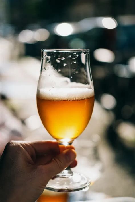11 Best German Beers To Drink In 2023