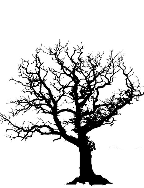 Bare Tree Silhouettes ClipArt Best