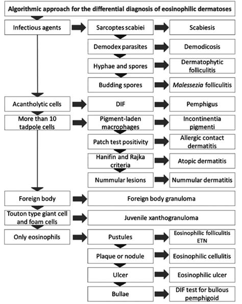 Algorithmic Approach For Eosinophilic Dermatosis Diagnoses According To