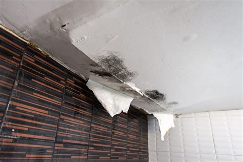 Cracks In Walls And Ceilings Causes Tcworksorg