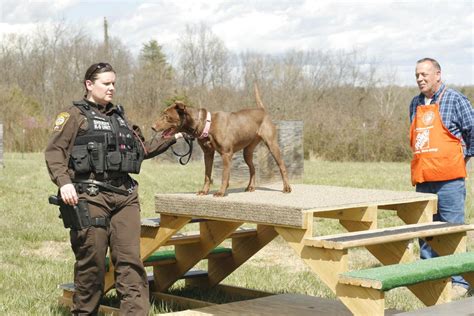 Sheriffs K 9 Unit Gets A New Training Obstacle News