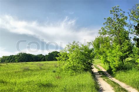 Walkway On A Summer Meadow Hdr Stock Photo Colourbox
