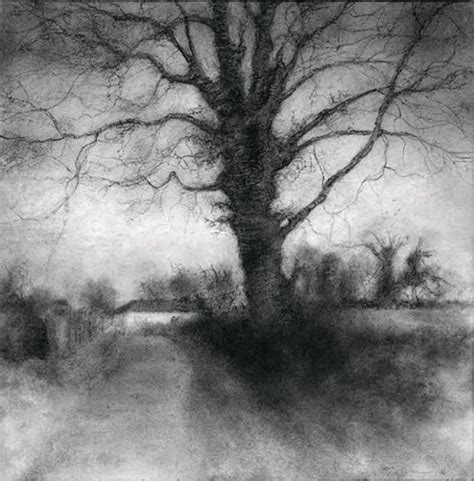 Sue Bryan Bog Road Tree Realist Black And White Charcoal Drawing Of