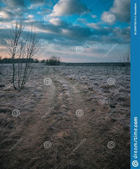 Winter Moring Among Fields Stock Image Image Of Forest 209076519