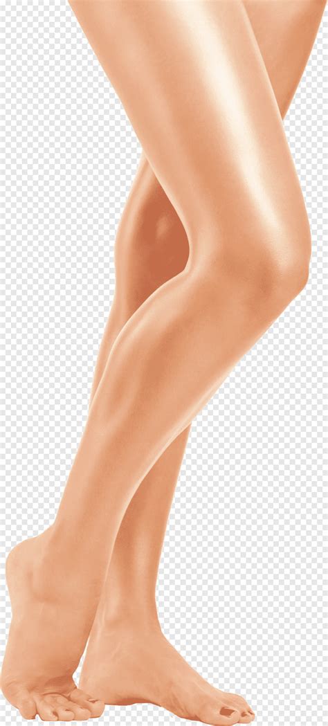 Ilustração de pernas de mulher perna pernas de mulheres imagem