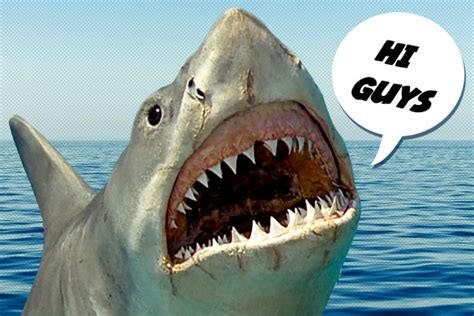What is the streaming release date of jaws (1975) in germany? 'Jaws': In Defense of the Shark | Decider
