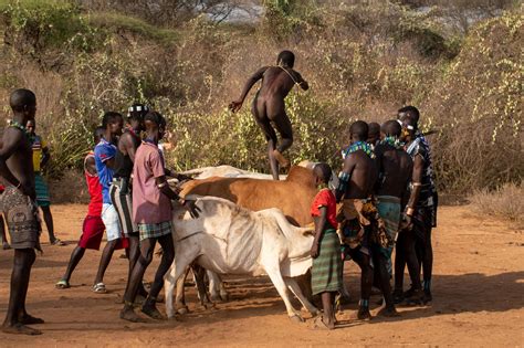 The Hamar Tribe S Rite Of Passage To Manhood Is No Bull