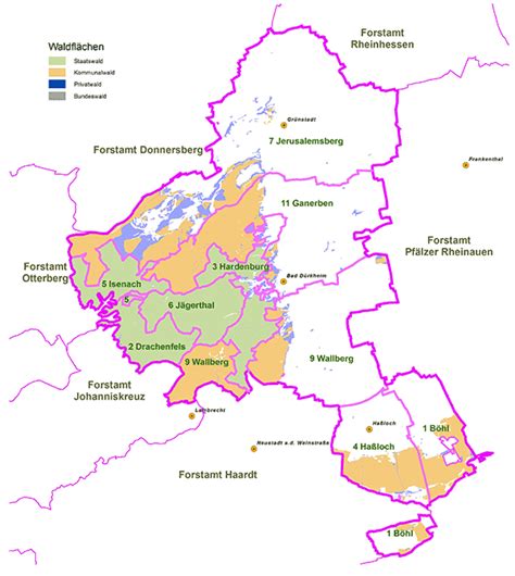 Landesforsten Rheinland Pfalz Forstamt Bad Dürkheim In Der