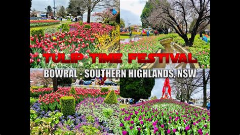 Tulip Time Festival Bowral Nsw Southern Highlands 23rd September