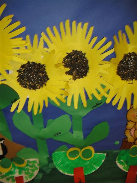 Sunflowers Made By Our Preschoolers A Paper Plated Painted Yellow