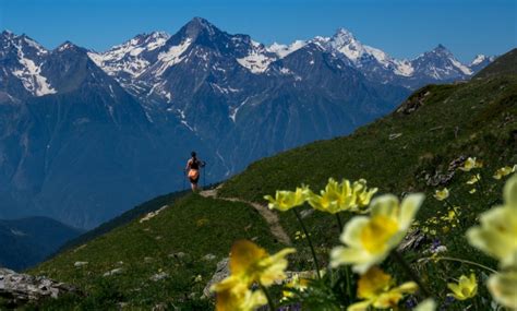 Trekking And Hiking In Aosta Valley Trekking Alps