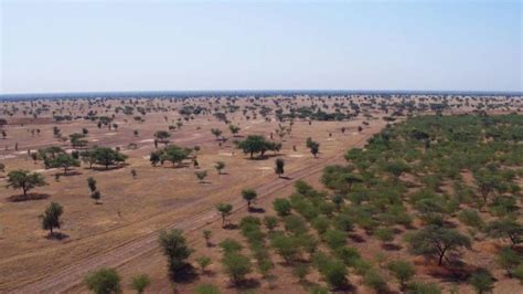 Ministers Release First Status Report Next Steps On Great Green Wall