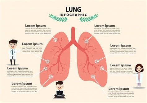 Lungs Infographic Map Pulmonology Kids World Map