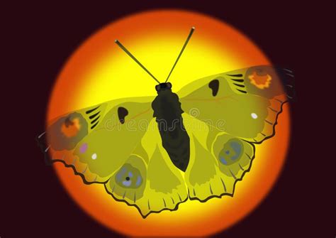 Butterfly In The Nigh T Flies Over The Forest Stock Vector