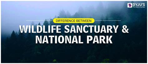 Difference Between National Park And Wildlife Sanctuaries