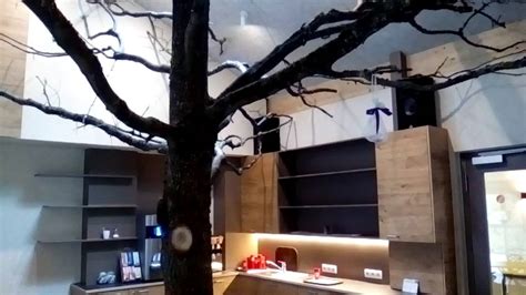 Sich dort niederlassen, wo wir uns am sichersten und am meisten geerdet fühlen. Baum im Haus nicht Baumhaus - YouTube