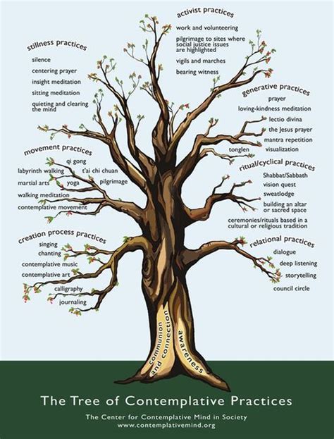 Quotes And Infographics The Tree Of Contemplative Practices On