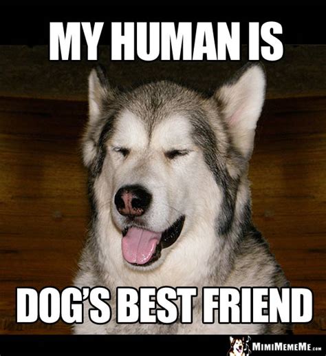 Rabid Funny Dog Jokes Doggie Style Humor Canine Comedy Pg 8 Mimimememe