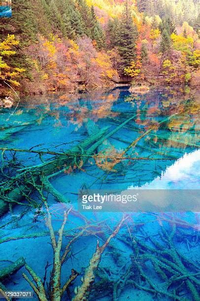 Jiuzhaigou Valley Photos And Premium High Res Pictures Getty Images