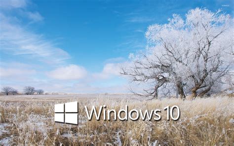 Windows 10 Snow Wallpaper 59 Images