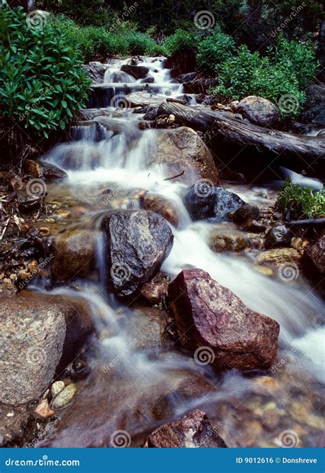 Colorado Mountain Stream Stock Photo Image Of Pure Creek 9012616