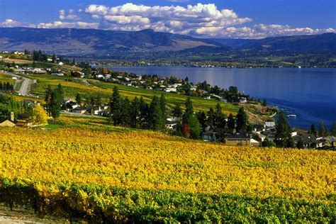 Okanagan Valley British Columbia Voted One Of The Top Wine Regions To
