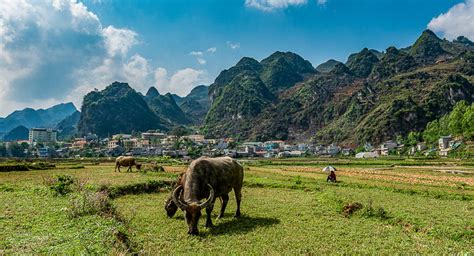 In order of shared border length, these are: Ha Giang | Vietnam Tourism