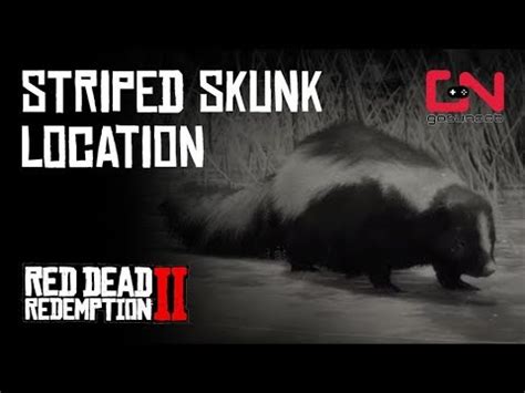 Rdr 2 добавили в gamepass? Skunk Look Rdr2 / Red dead 2 striped skunk locations, where you can find and what you can craft ...