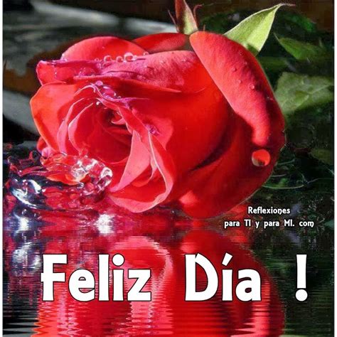 Buenos Deseos Para Ti Y Para MÍ Feliz Día Rosa Roja