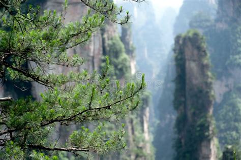 Mysterious Mountains Zhangjiajie Hunan Province In China Stock Image