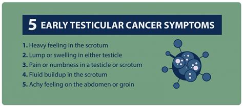 Testicular Cyst Vs Cancer