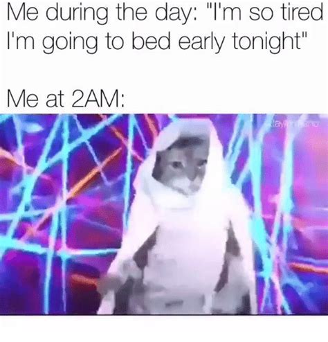 Me During The Day Im So Tired Im Going To Bed Early Tonight Me At 2am Dank Meme On Sizzle