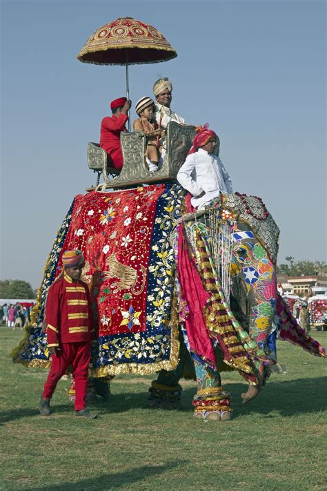 Decorated Elephants On Parade At The Annual Elephant Festival In Jaipur