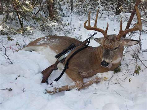 Biggest Maine Buck 2019 Hunting Chat