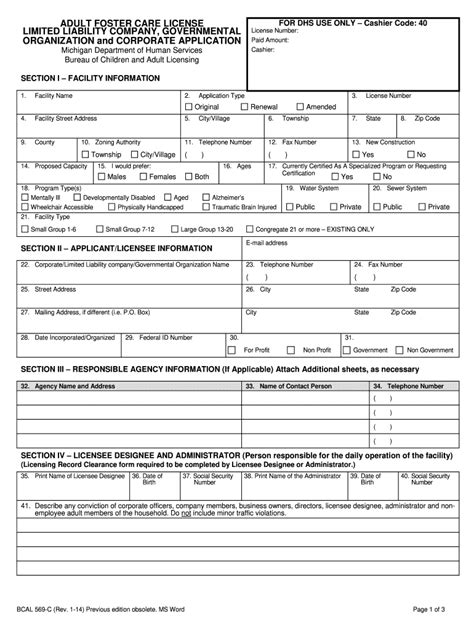 Foster Care License Fill Out And Sign Printable Pdf Template Signnow