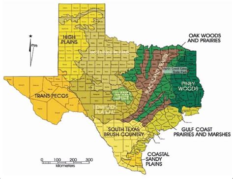 Map Of Texas Geographic Regions United States Map