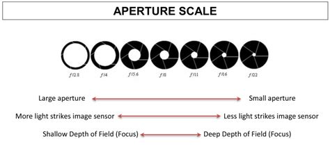 Exposure Triangle Explained Aperture Iso And Shutter Speed Beginners