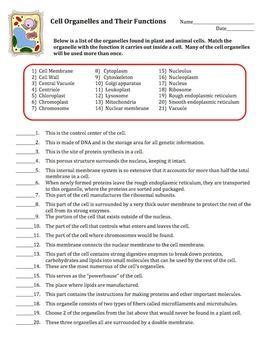 Free printable animal masks to colour. Cell Organelles Matching Worksheet | Cell organelles ...