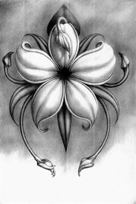 50 Easy Flower Pencil Drawings For Inspiration