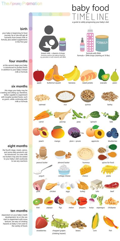 Offer these foods to your baby as soon as your little one starts eating solids. Baby Food Timeline Part 1 | Baby food timeline, Baby food ...