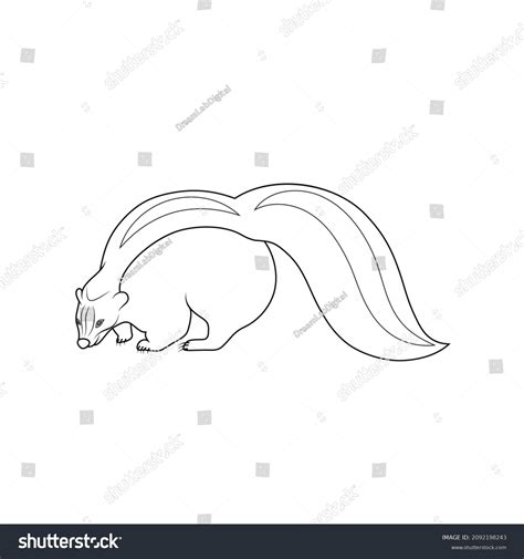 478 Skunk Outline Images Stock Photos 3d Objects And Vectors