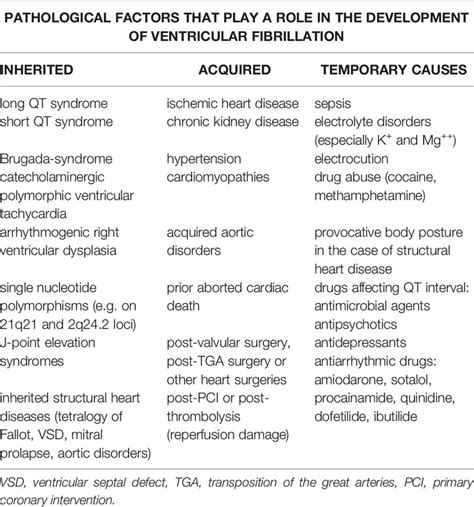 Ventricular Fibrillation Heart