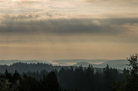 Silhouette Photograph Of Forest Under Cloudy Sky Hd Wallpaper