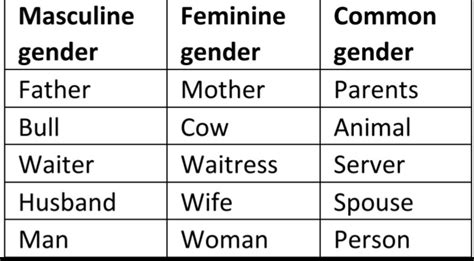 Click This Link And You Will Get Knowledge About Noun Gender It S