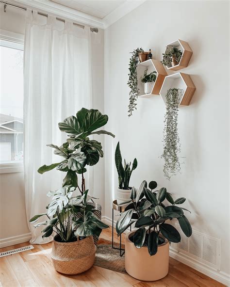 Interior Design Living Room With Plants Rishabhkarnik