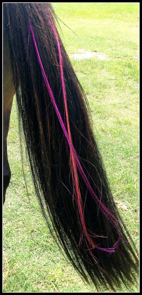 17 Horse Hair Extensions Ideas Horse Hair Horse Mane Horses